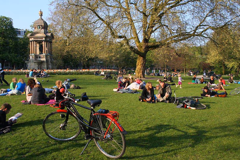 view of a park in Amsterdam during sunset, with groups of people sitting on the grass next to their bikes