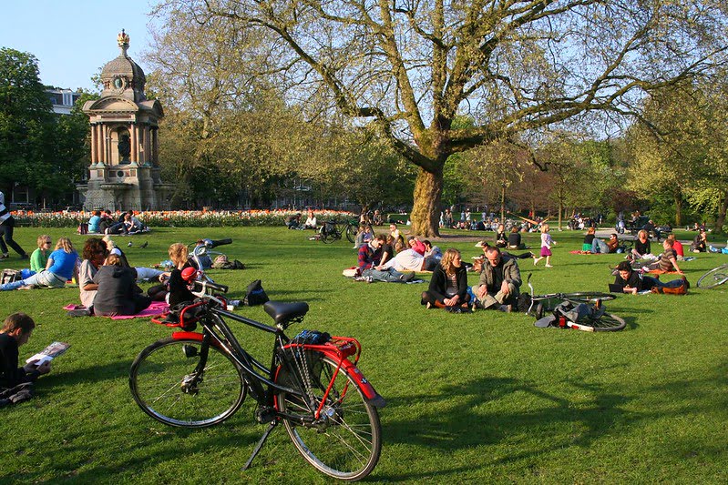 view of a park in Amsterdam during sunset, with groups of people sitting on the grass next to their bikes