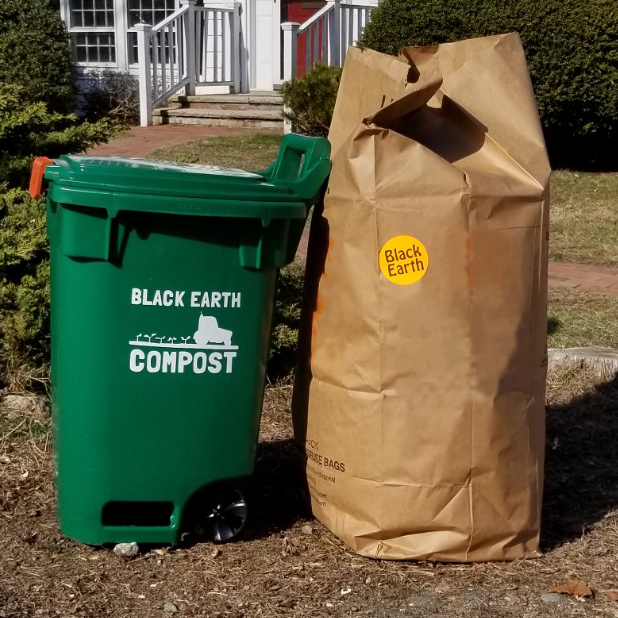 Black Earth