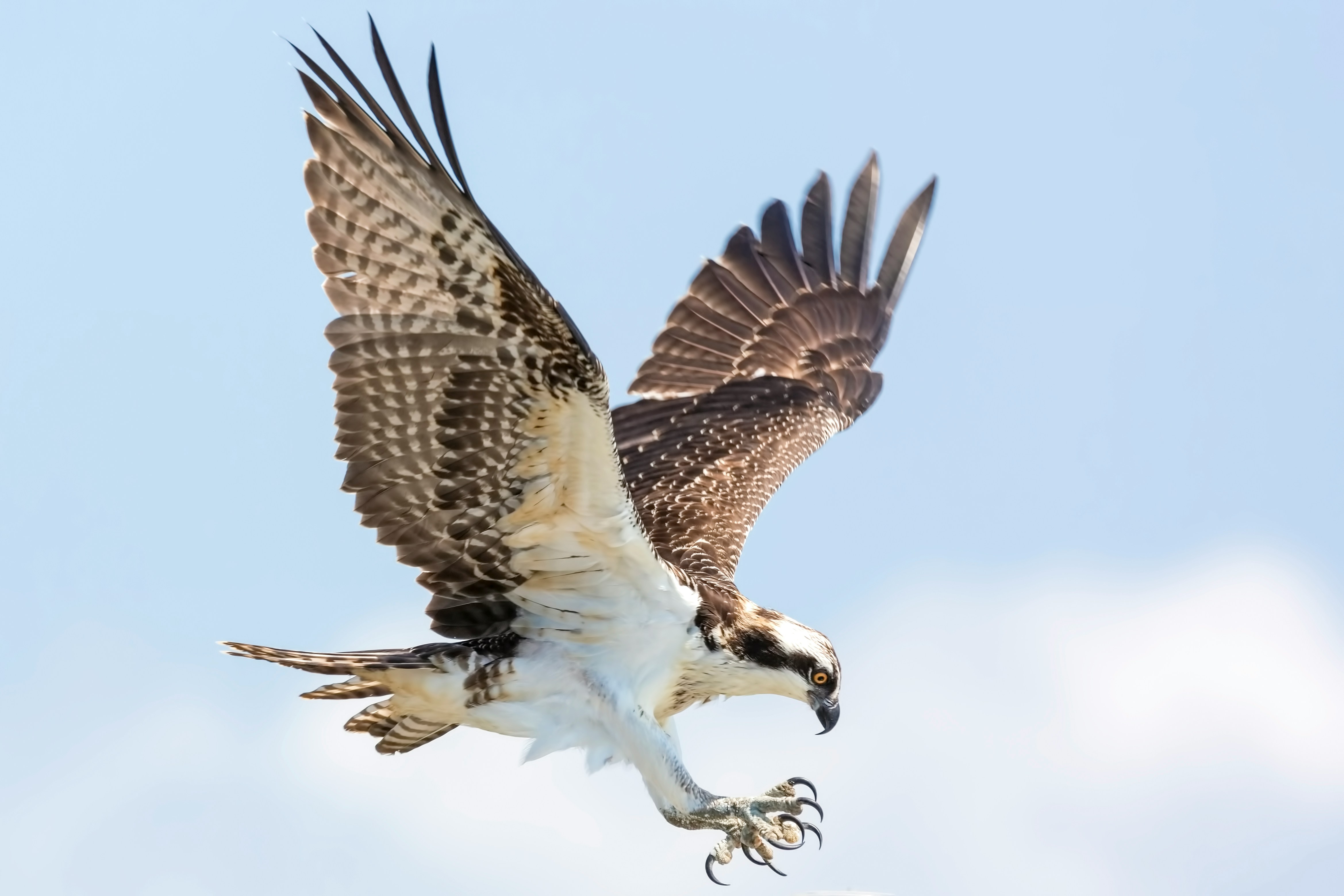 Photo by Mathew Schwartz on Unsplash