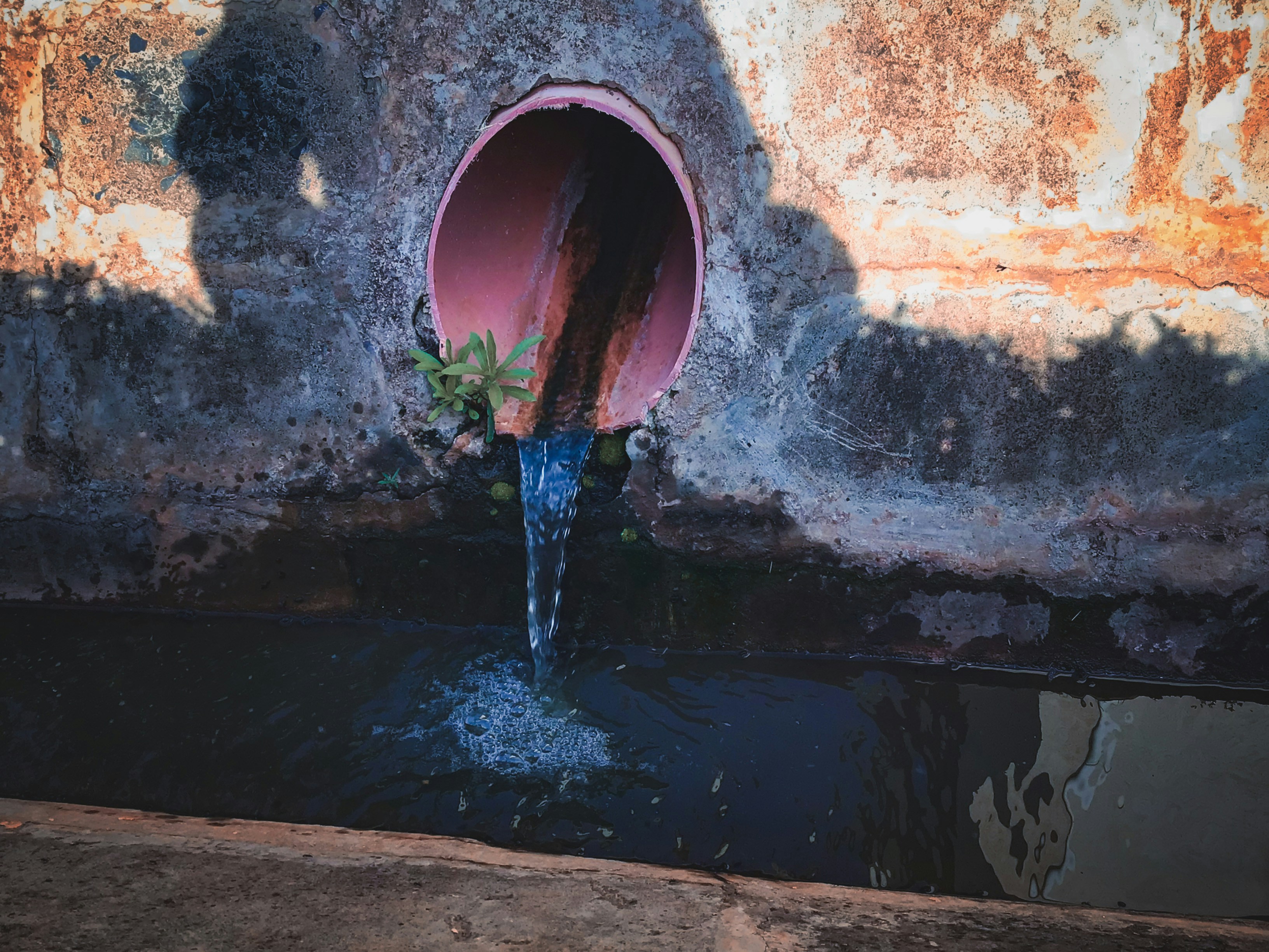 Photo by TRG on Unsplash