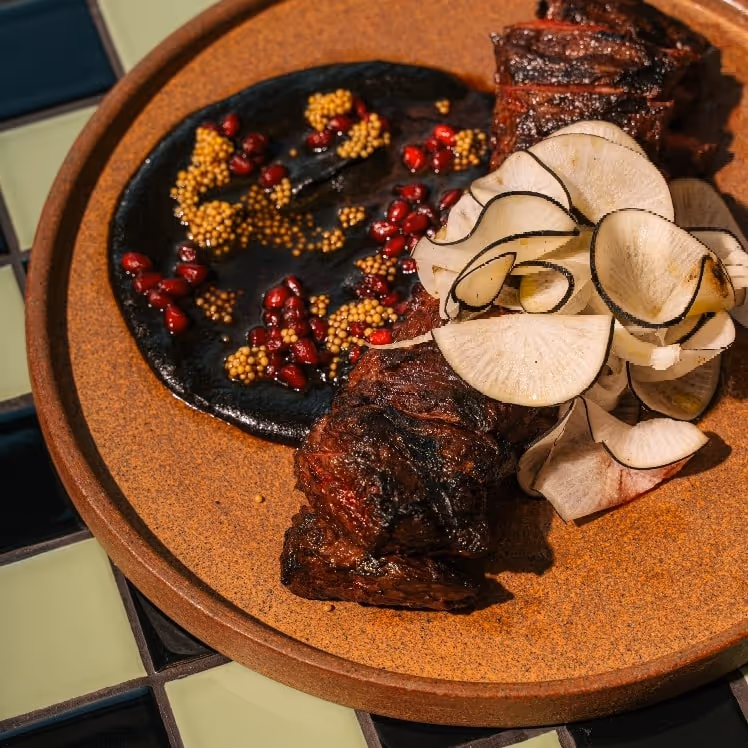 Grilled skirt steak served on a rustic ceramic plate with a dark sauce, pomegranate seeds, mustard seeds, and shaved radish ribbons.