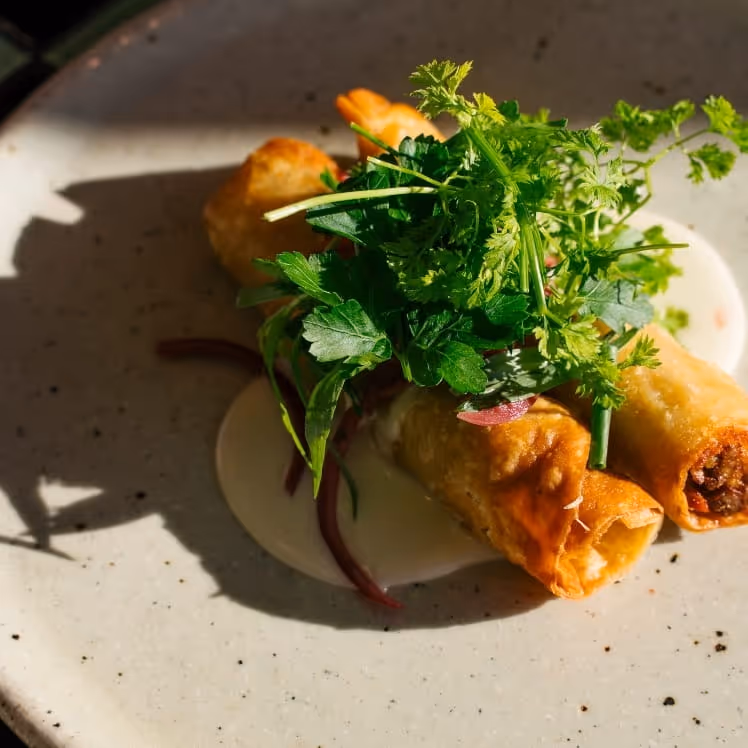 Crispy golden spring rolls with meat filling topped with fresh herbs on speckled ceramic plate in natural light