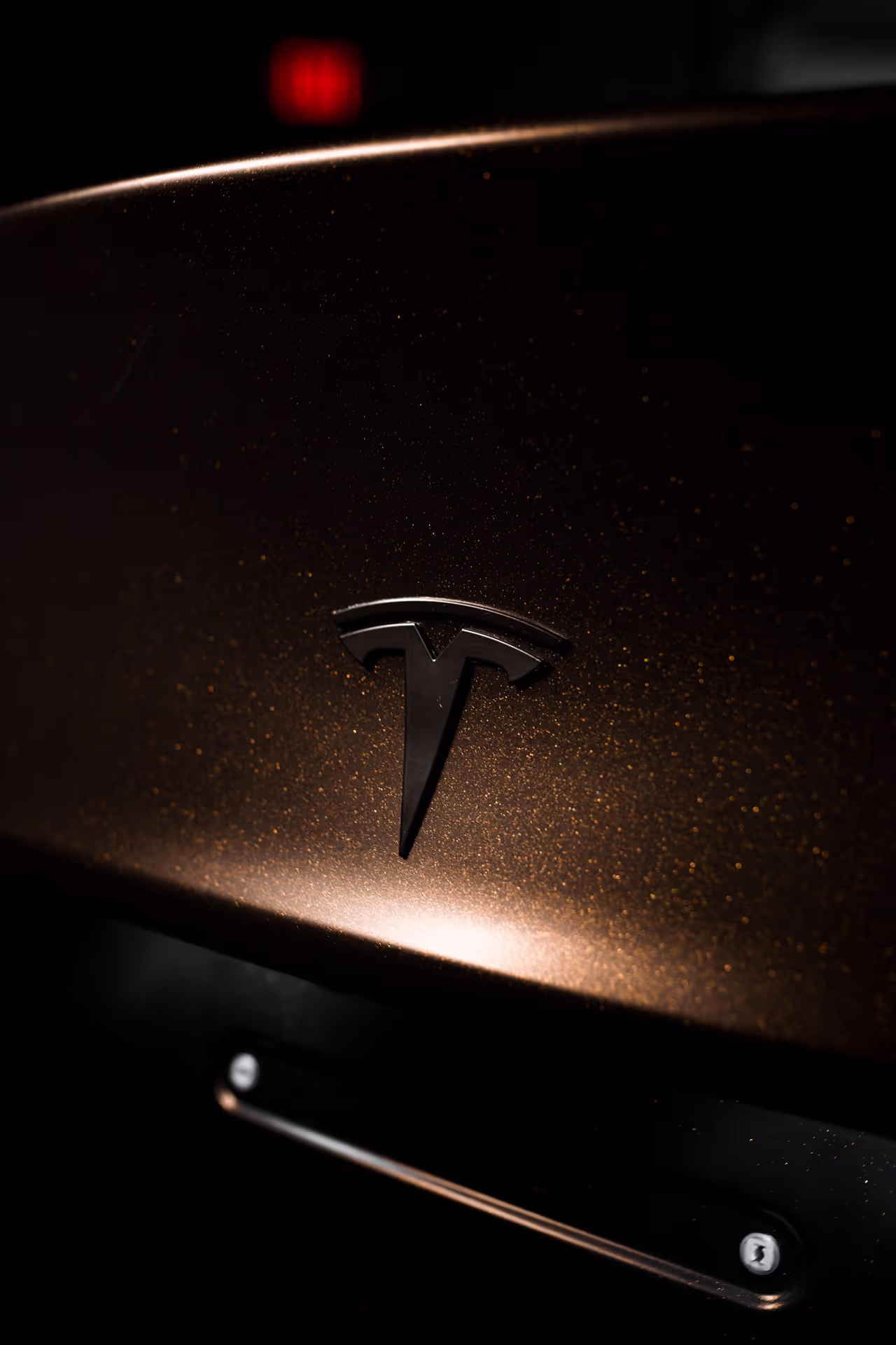 metalic tesla logo on car