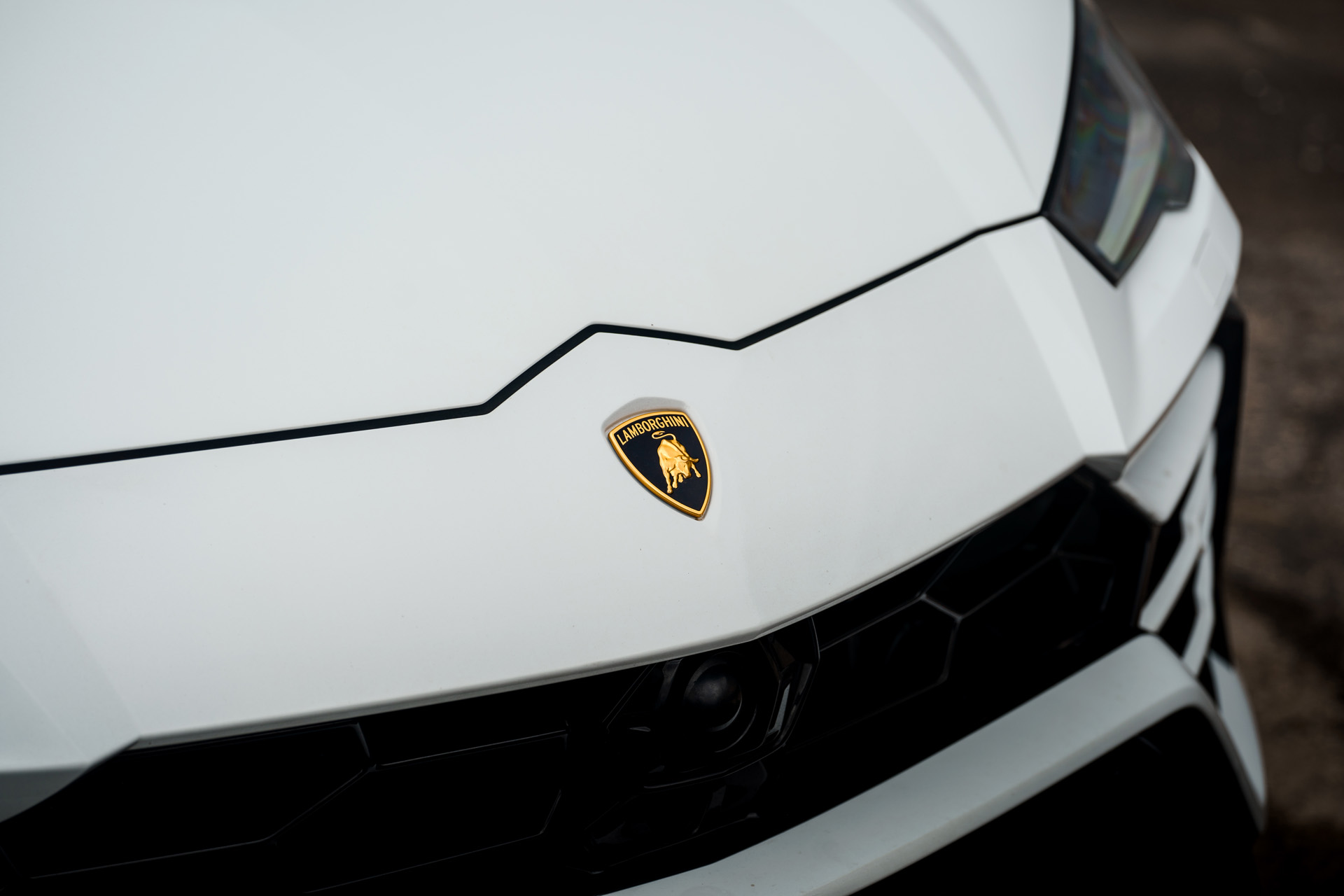lamborgini white car front view