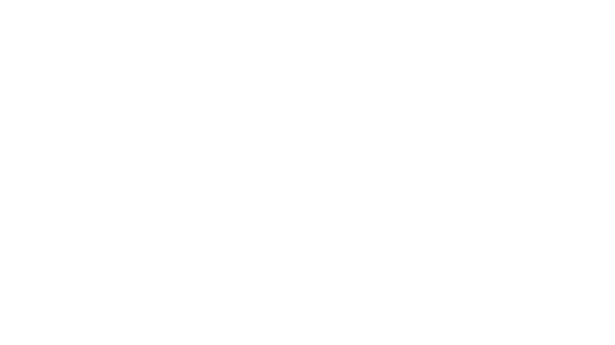 Full Vehicle