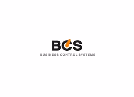 Business Control Systems