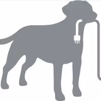 Labrador