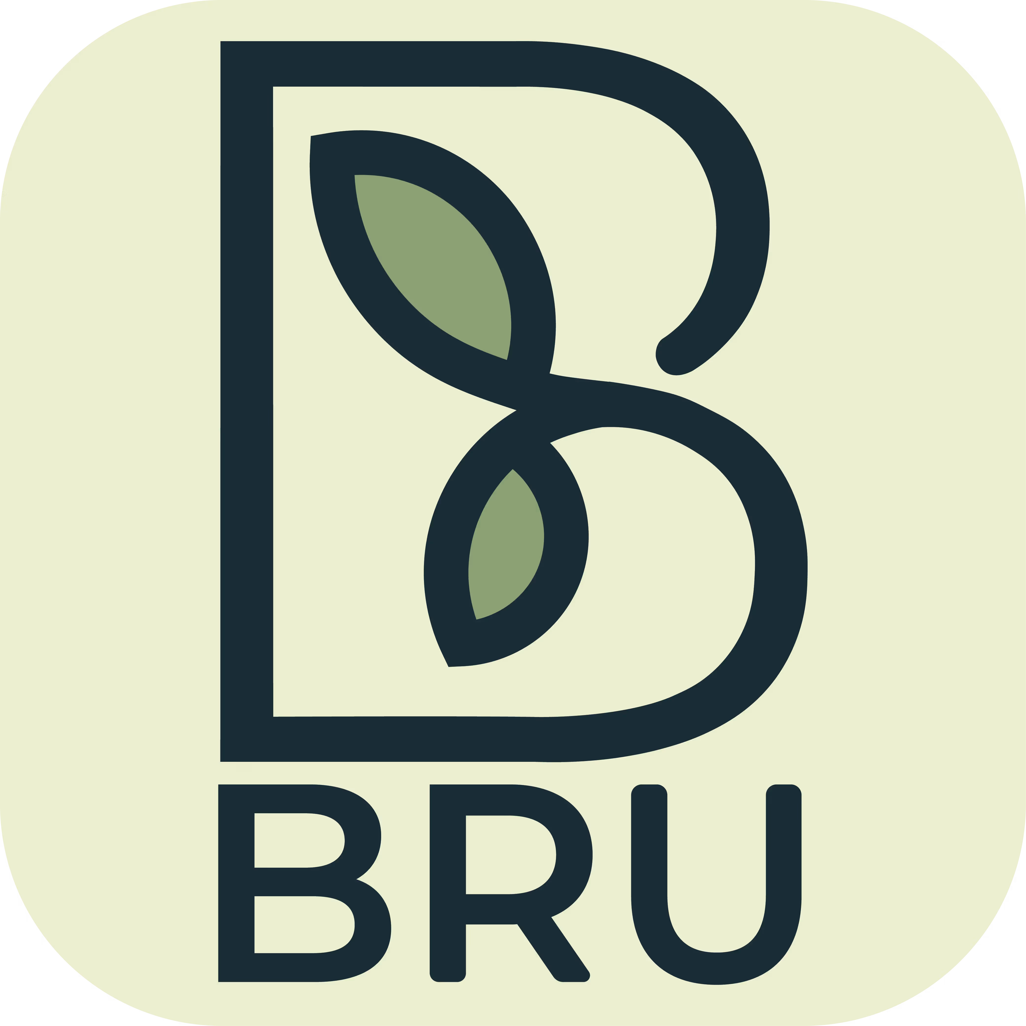 BRU