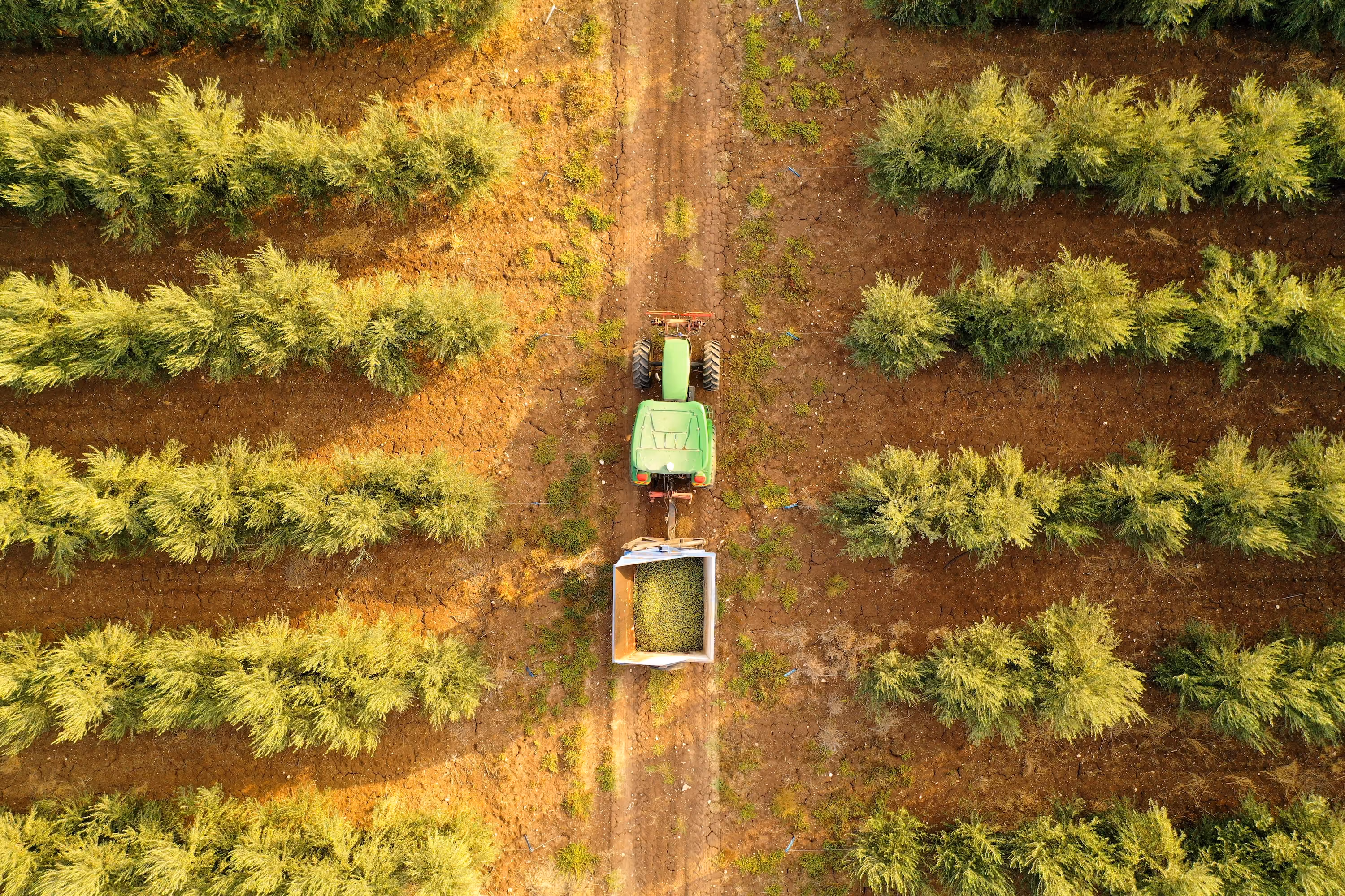 Tractor grass removal