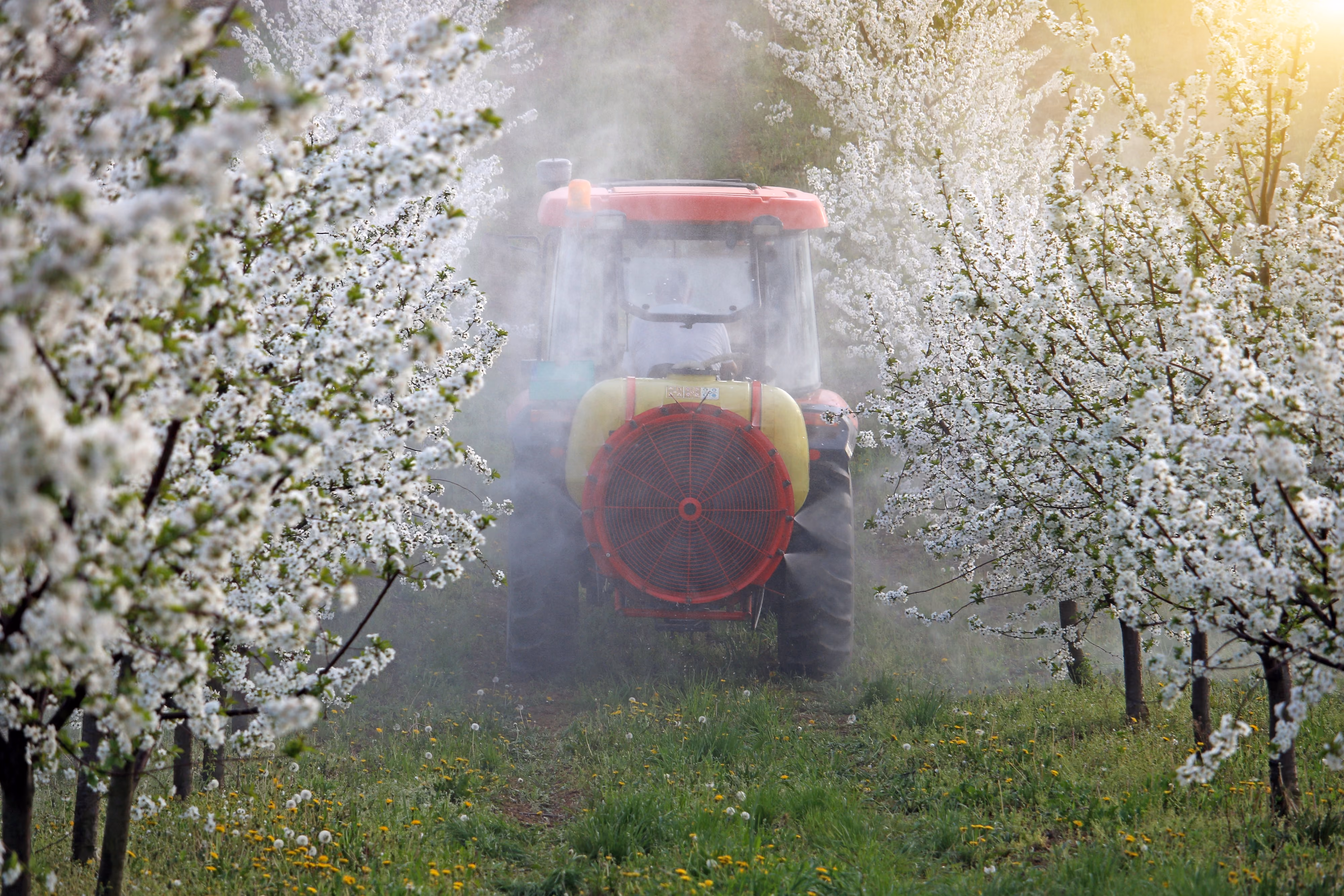 Tractor grass removal