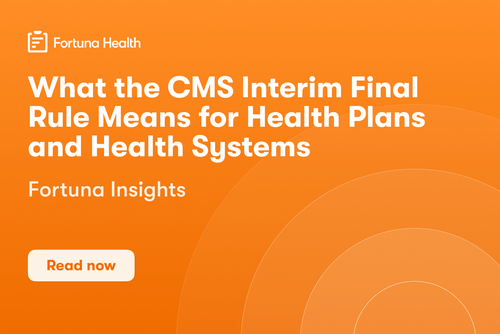 CMS Interim Final Rule on Medicaid Work Requirements