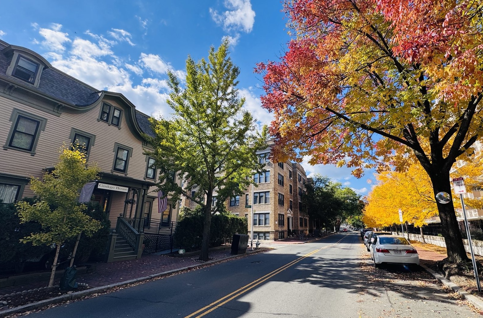 Ginkgo House on Harvard Fall