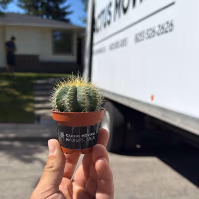 Last Minute Movers In Calgary