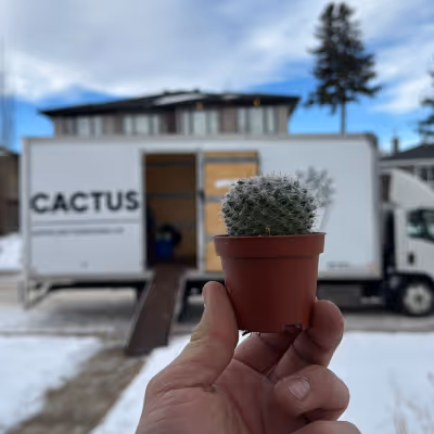 Residential Movers In Mississauga