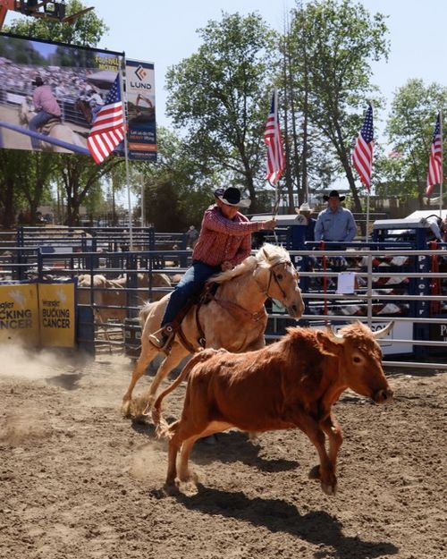 Gold Pro Rodeo Explore Auburn CA | Blog