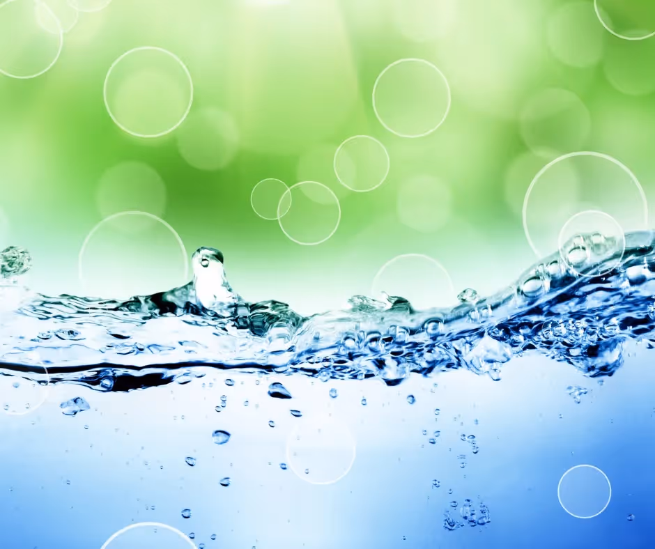Your Guide to Choosing the Perfect Water Filter System, water with Gone Coastal mascot