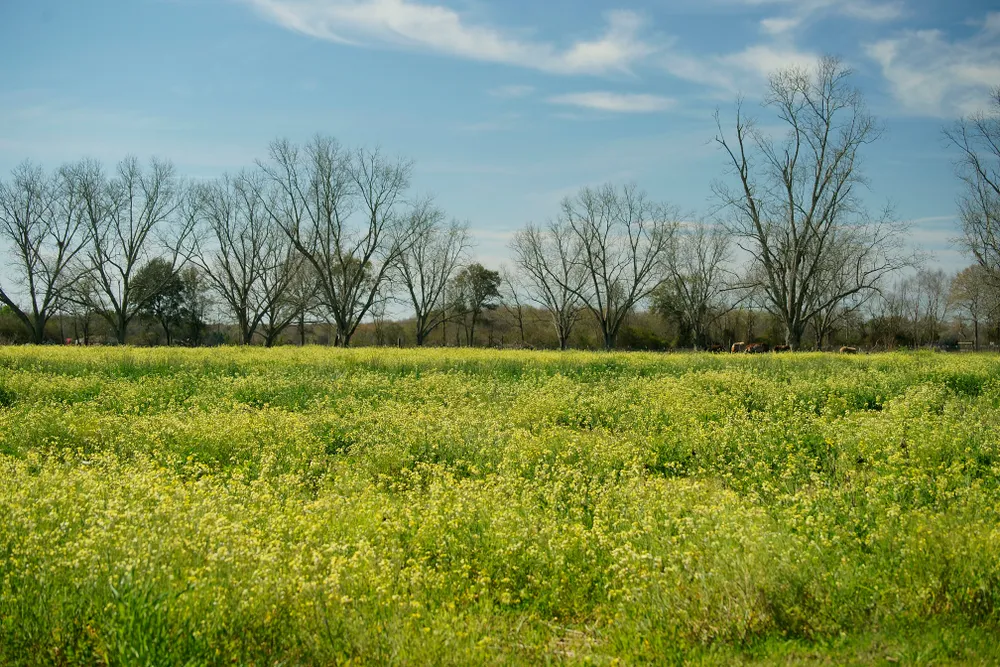 Plumbing & HVAC Services in Summerdale, Alabama