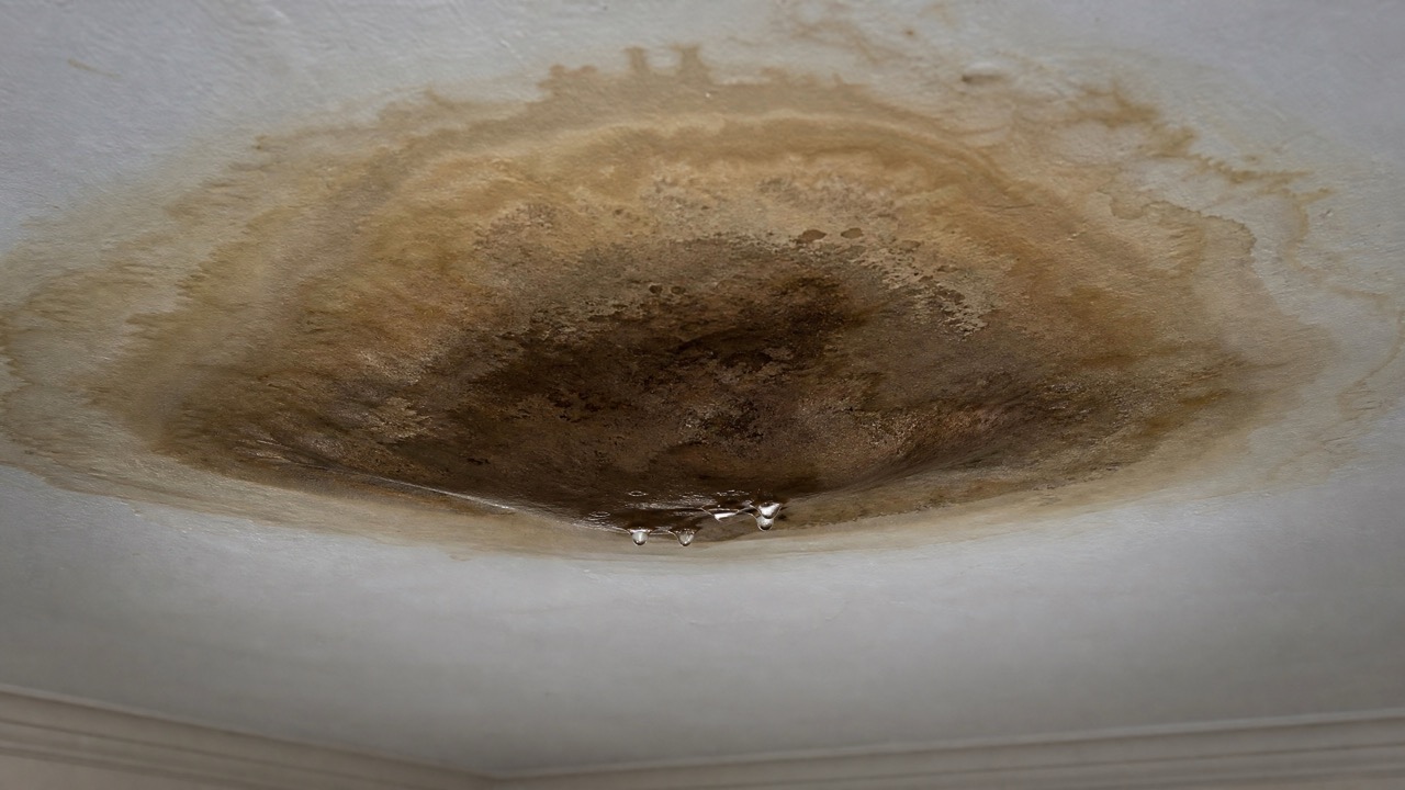 Dark brown water stain spreading across a white painted ceiling.