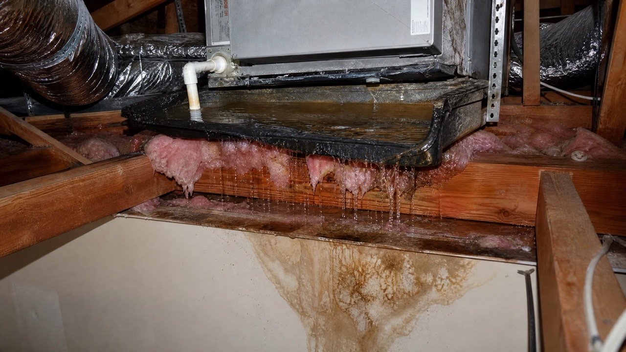 Close-up inside a residential attic showing an HVAC air handler unit with an overflowing drain pan.