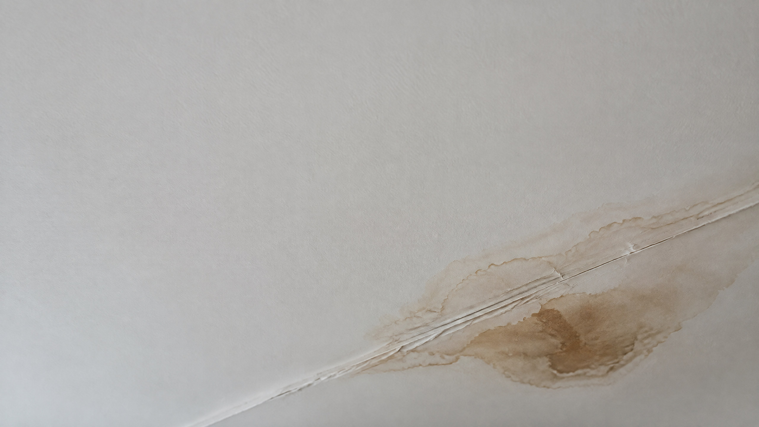 A dark water stain blooming along a ceiling seam in a coastal Alabama condo, paint softening at the edge of the ring