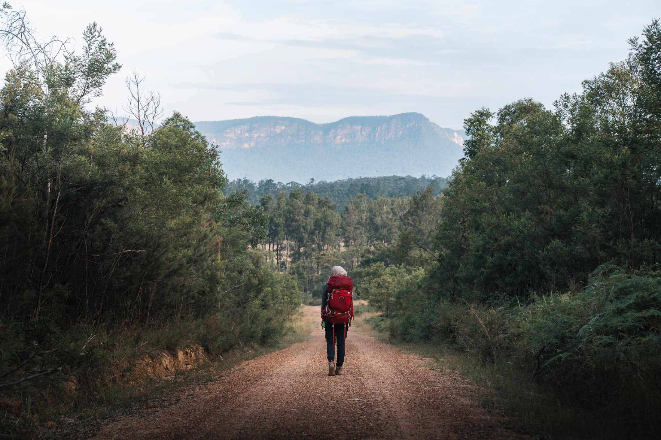 Kedumba Valley fire trail, Wentworth Falls