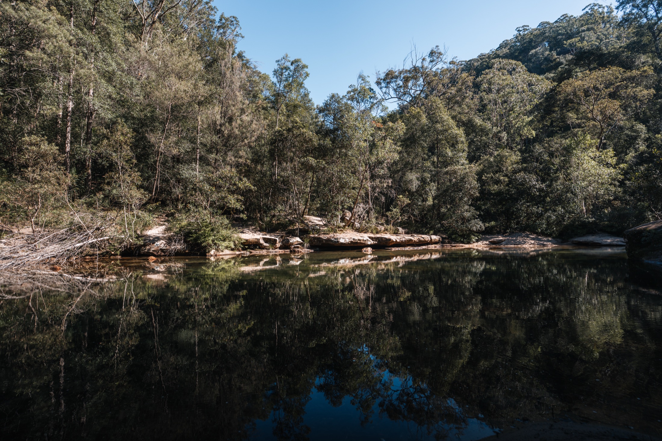 Rainforest pool on the Sassafras Gully and Magdala Gully loop, Springwood
