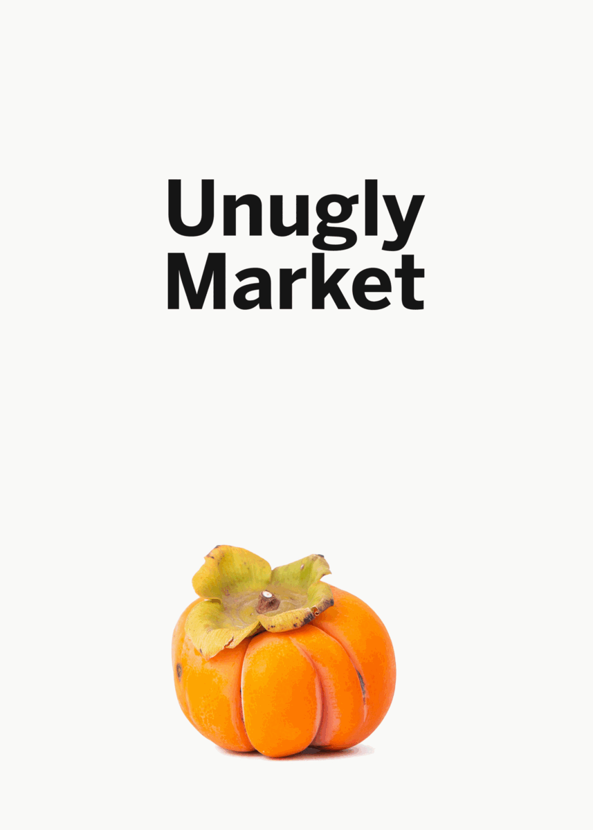 A mockup of a project