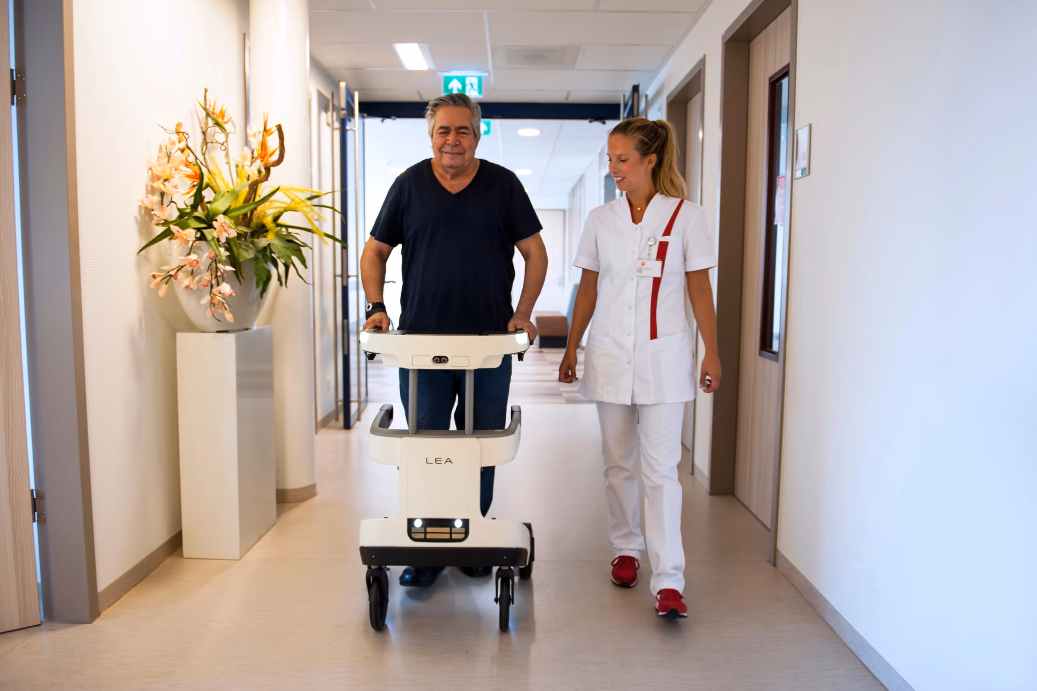 Image of the project