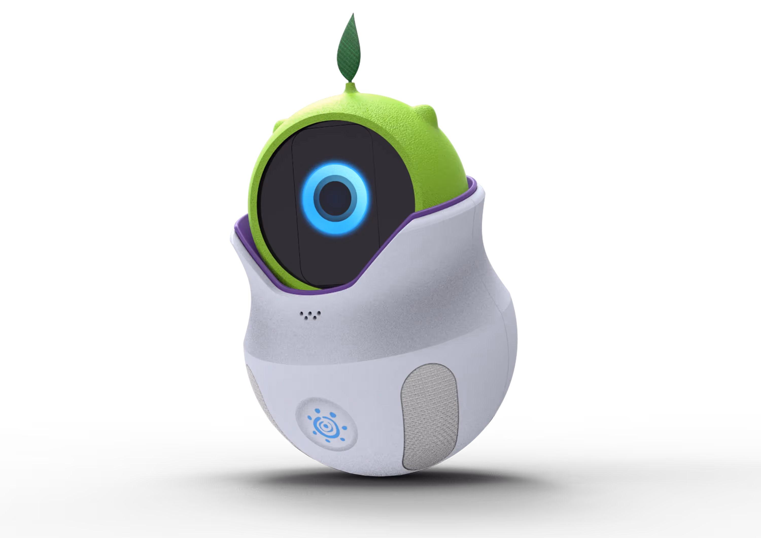 Image of the project