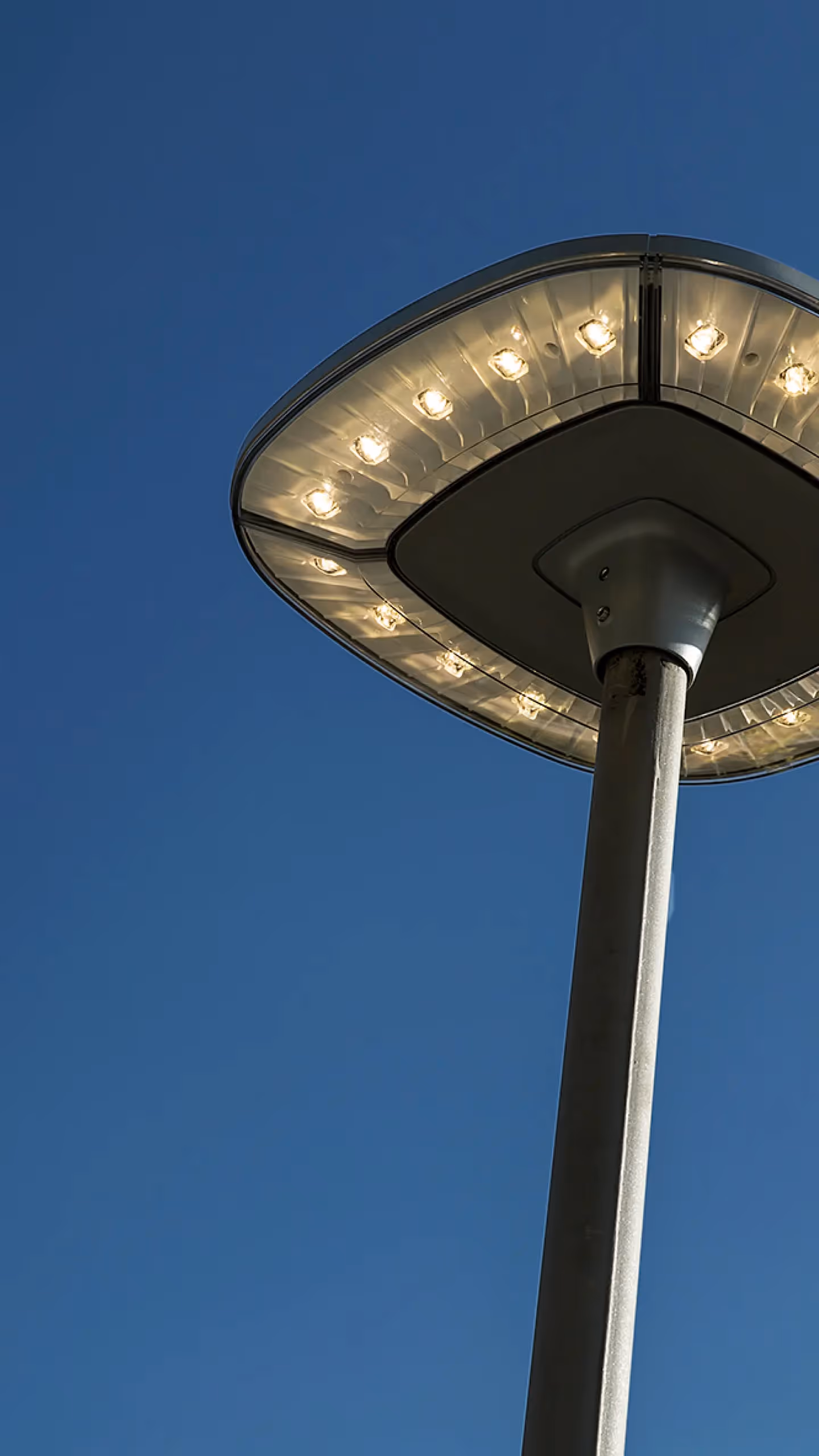 image of the project