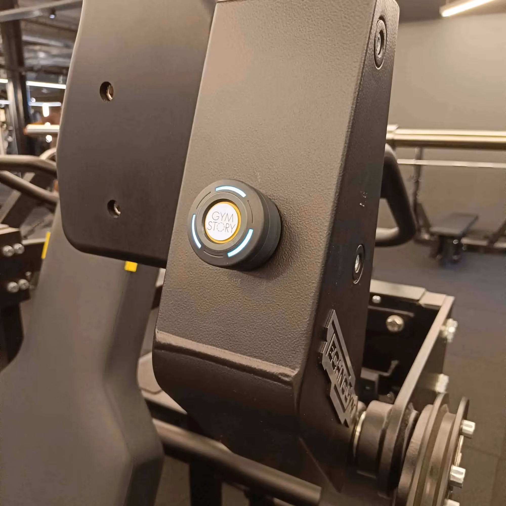 picture of the project 