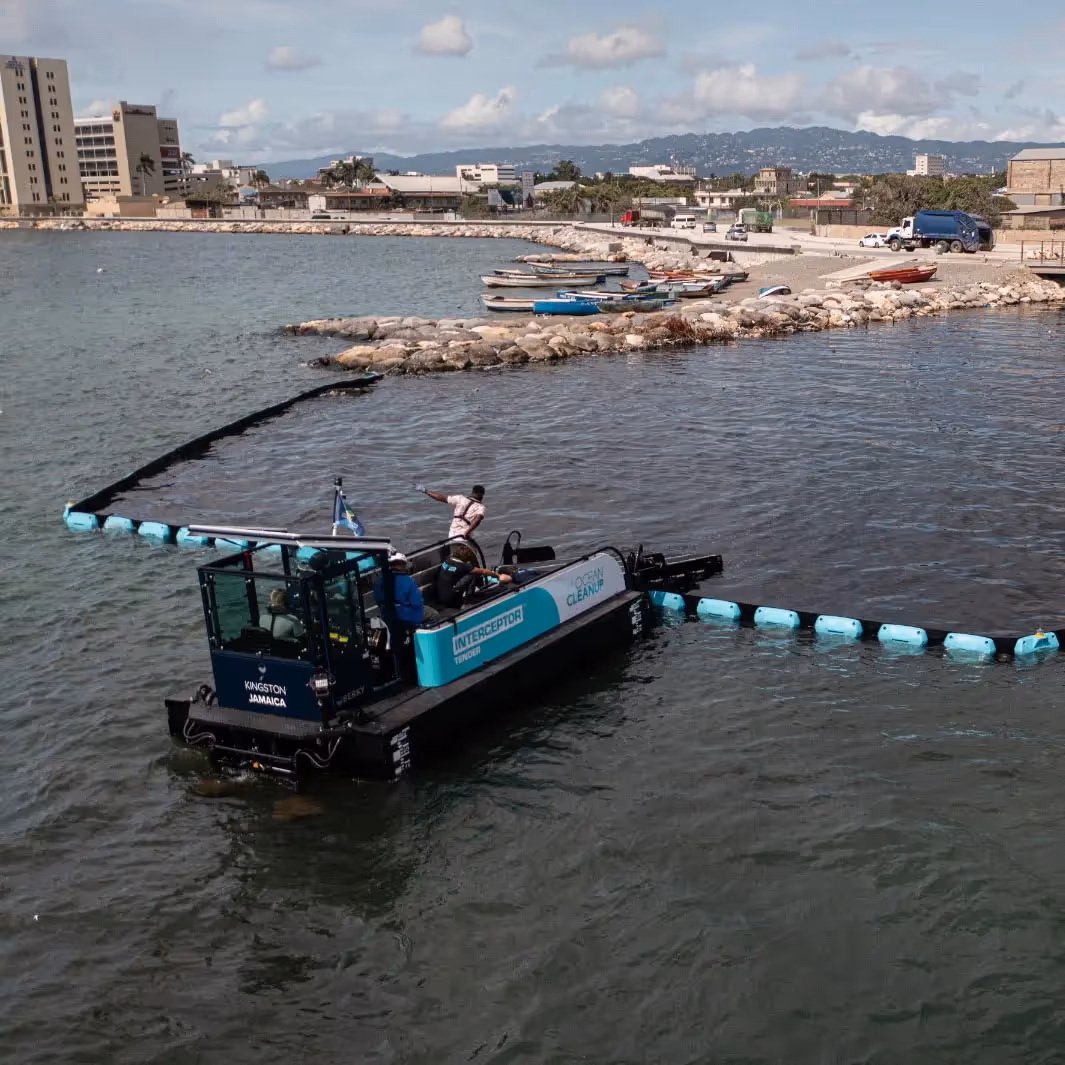 Picutre of the project