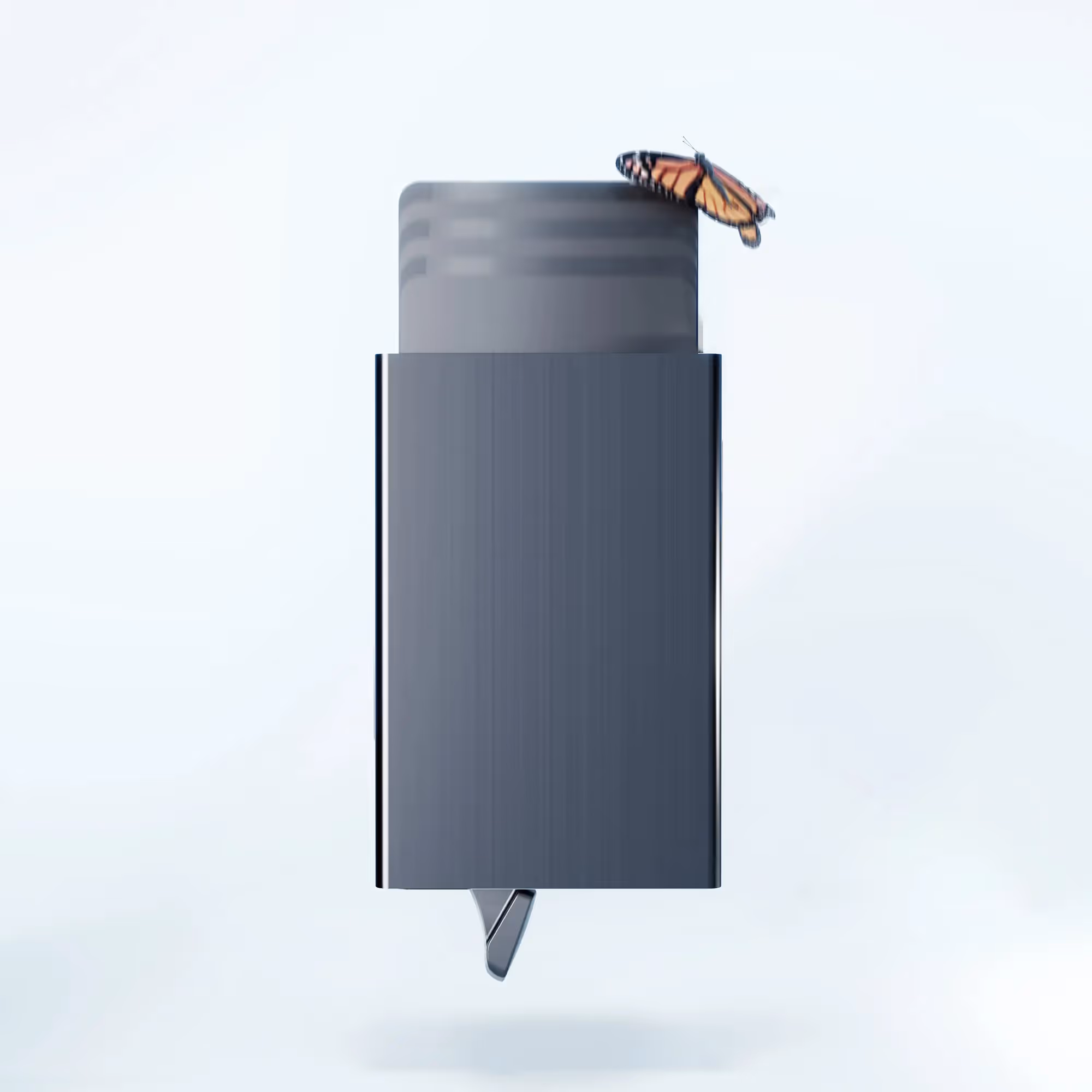 picture of the project