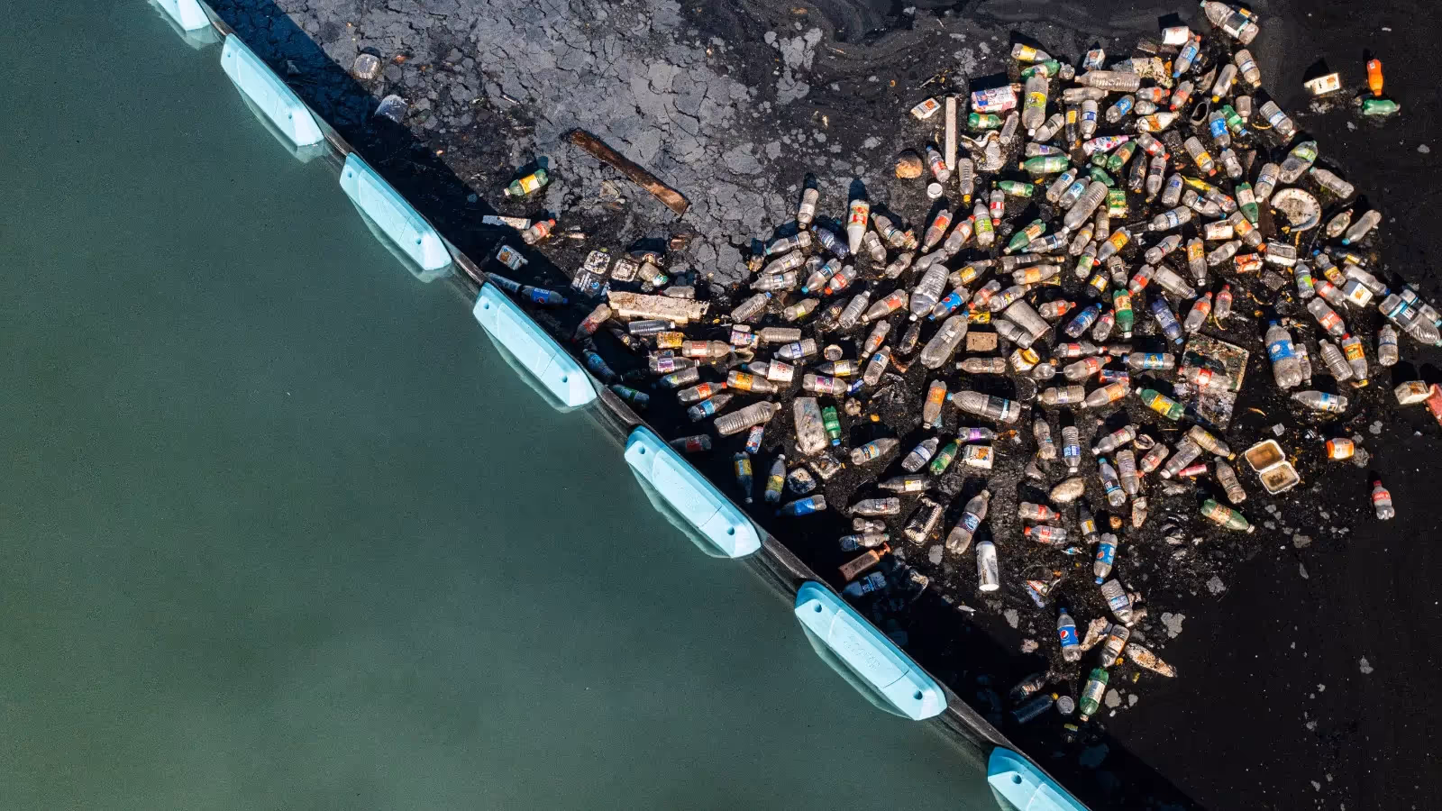 Image of insight page header