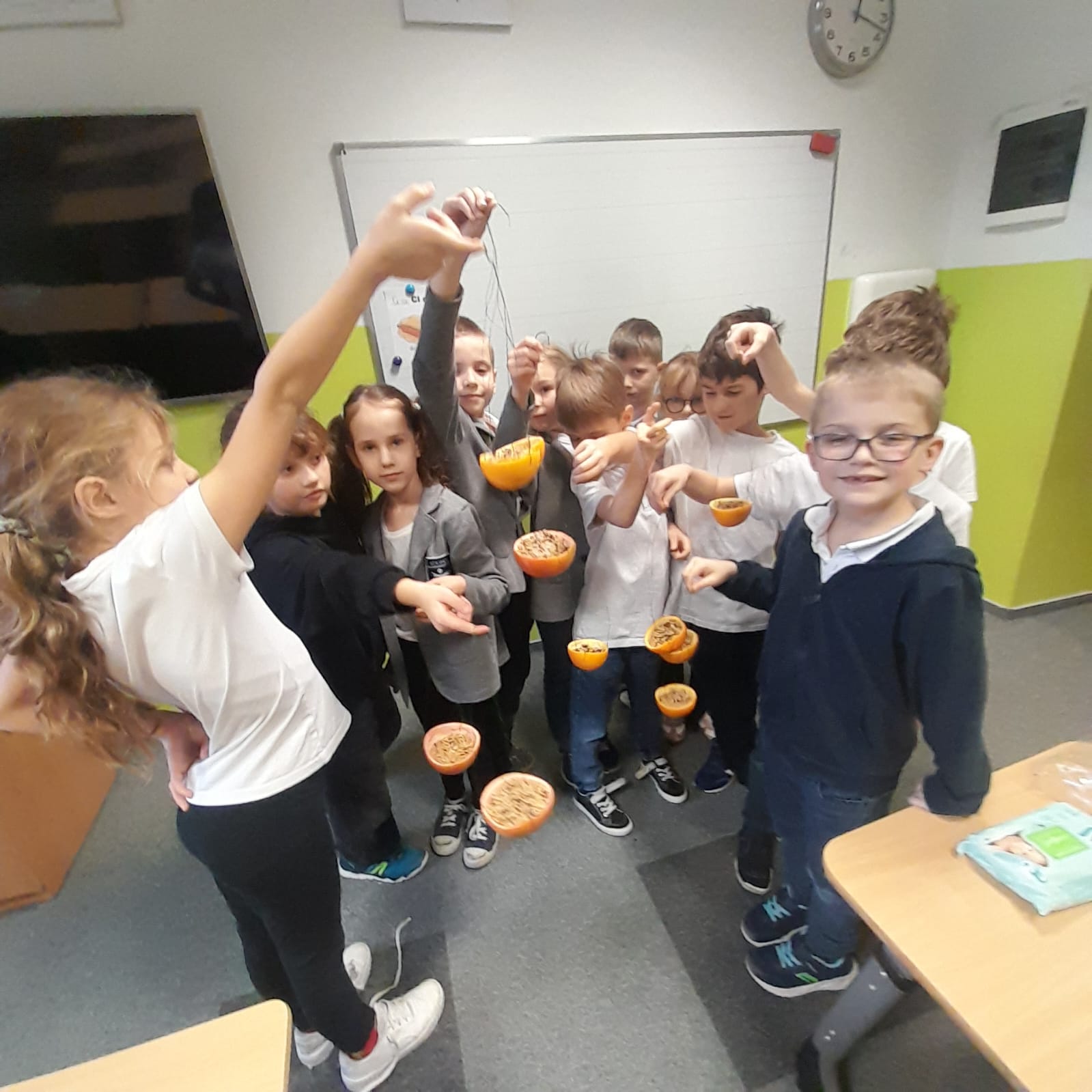 Karmniki dla ptaków