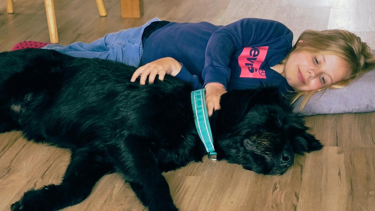 Assistenzhund Leni