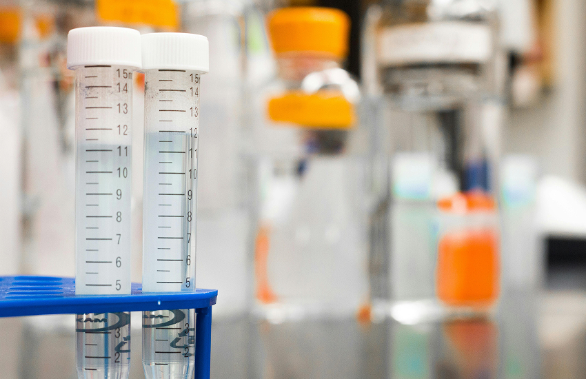 Interpreting Your Blood Test Results: Next Steps