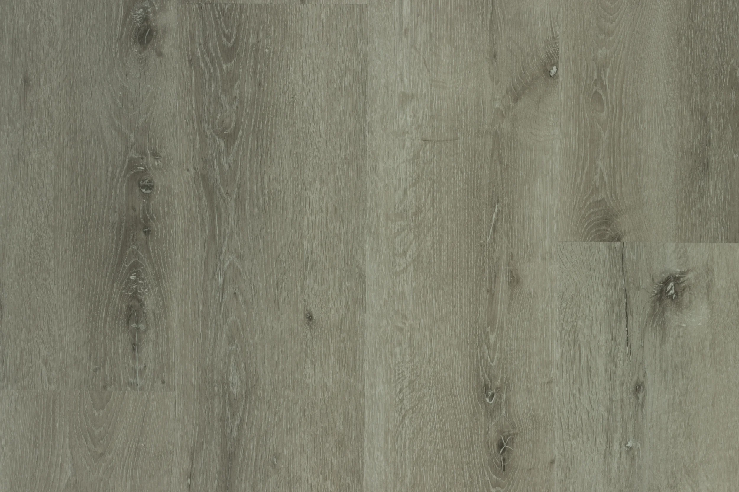 Platinum Grey Oak