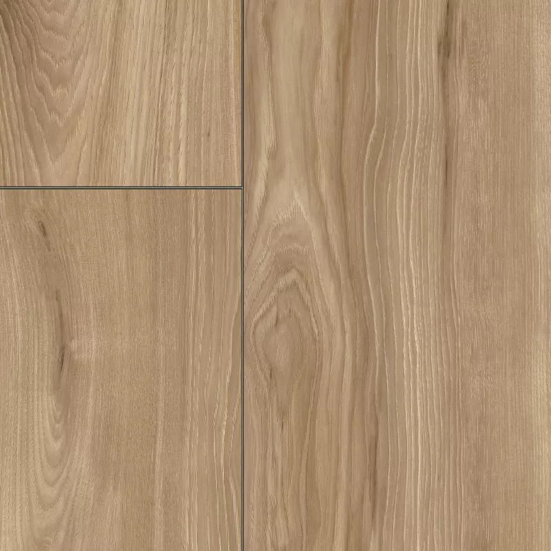 Sandibar Hickory Nature