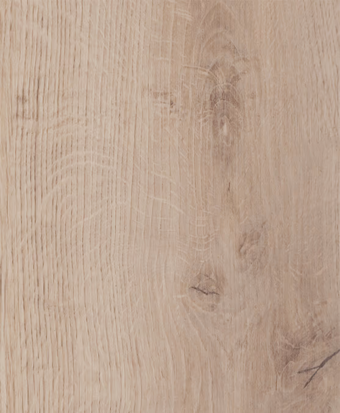 Moroccan Oak