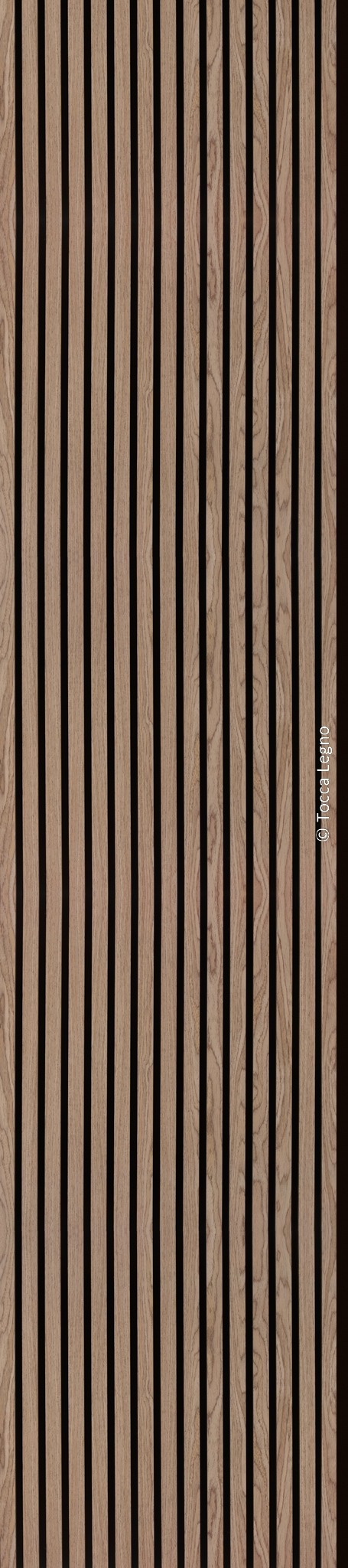 Regular 21 mm Walnut