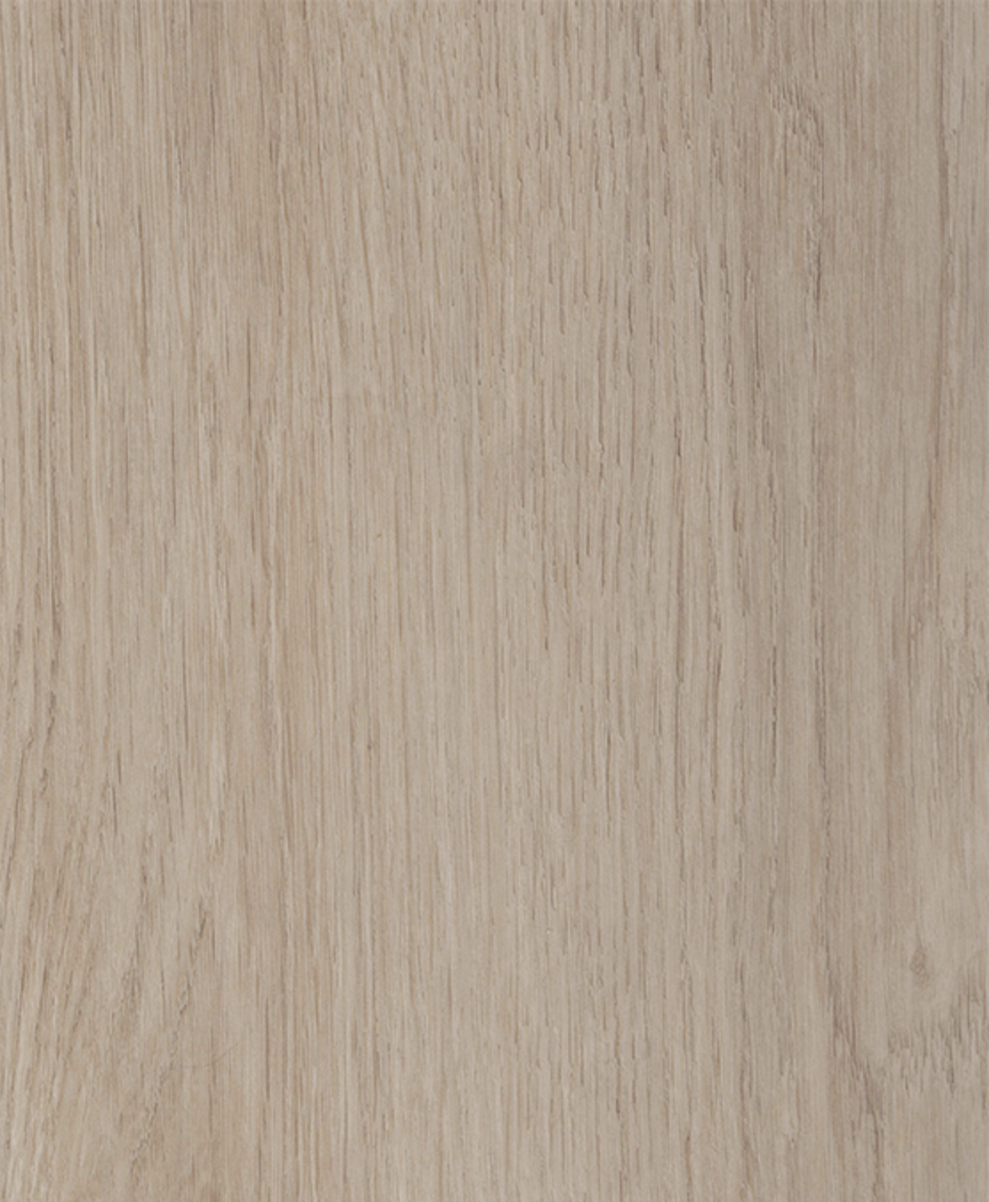 Belgian Oak