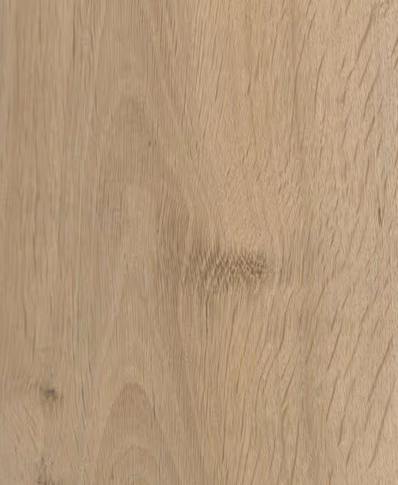 European Oak
