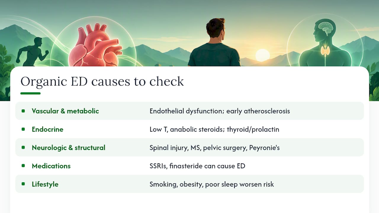 Vascular, Hormonal, and Structural Causes Worth Ruling Out — overview diagram