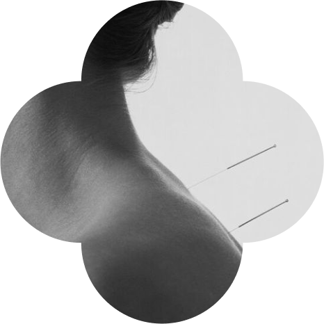 a photo of a woman's back inside a flower