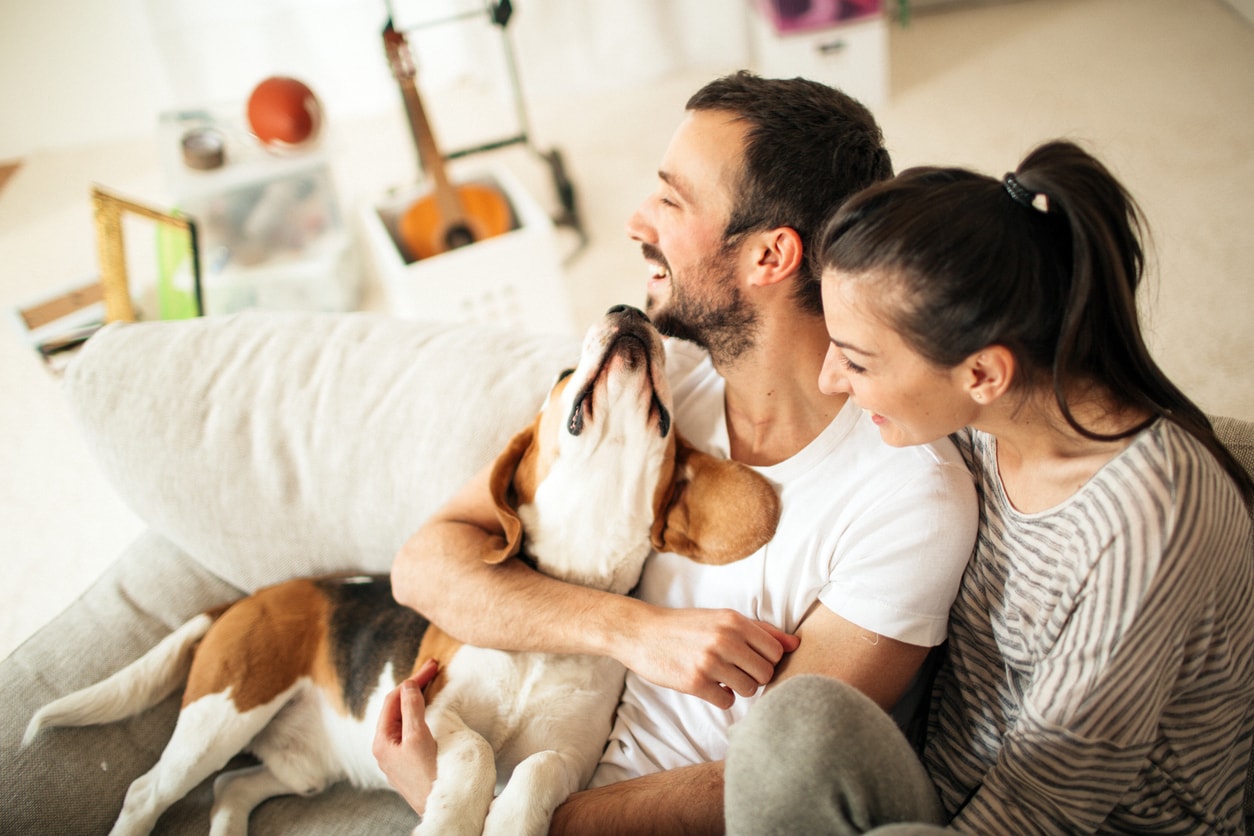 If there is ambiguity in determining which document is the right Will, the probate court will review all previous Wills to determine the Testator's intentions.