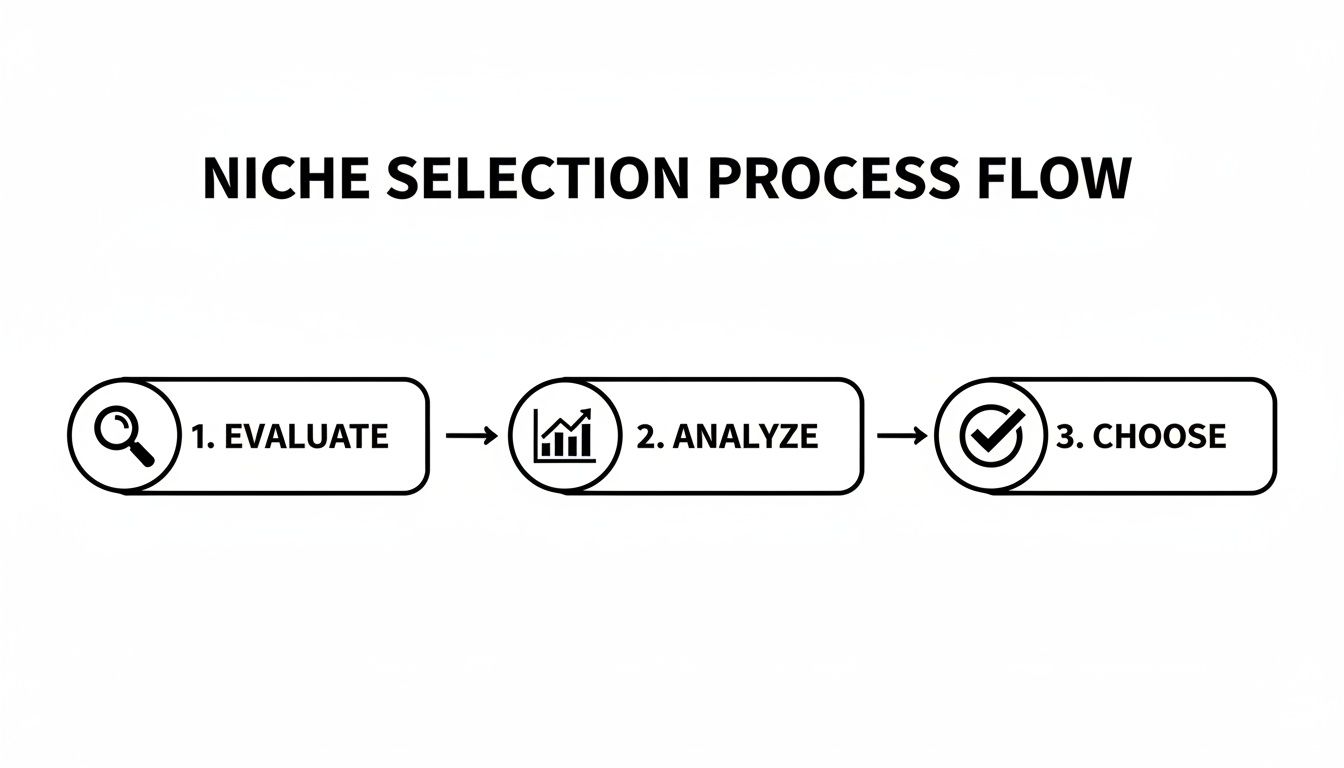 Flowchart illustrating the niche selection process with three steps: evaluate, analyze, and choose.