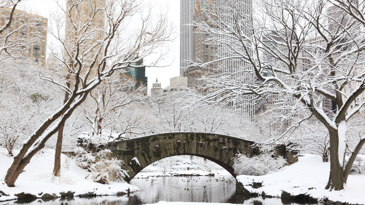 Snow-covered stone bridge in Central Park NY over a pond in a winter park with leafless trees and city skyscrapers.