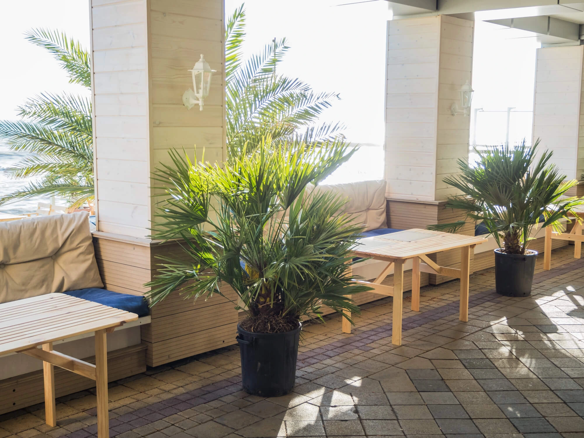 outdoor area with home and garden planters delray